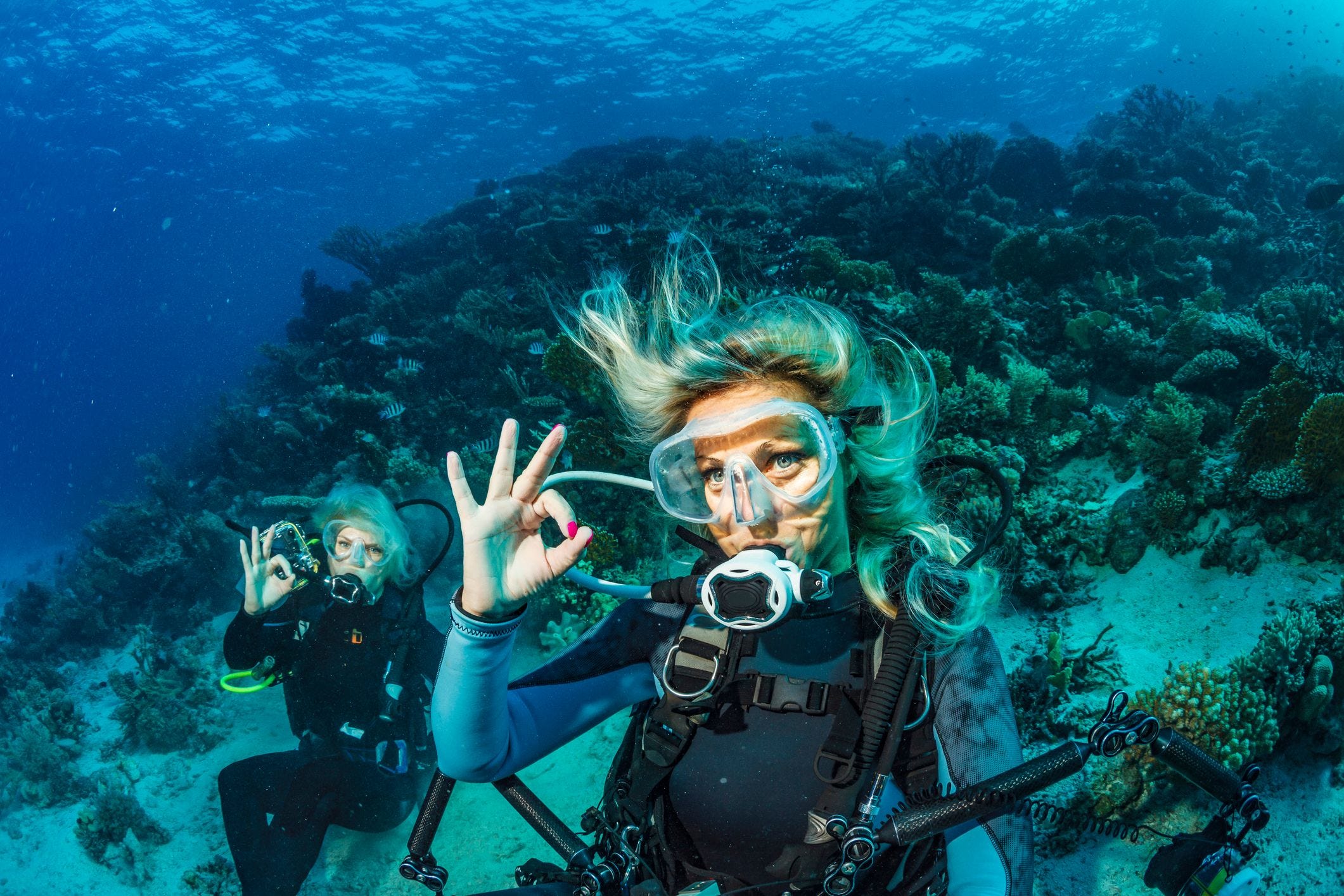 world's best scuba diving